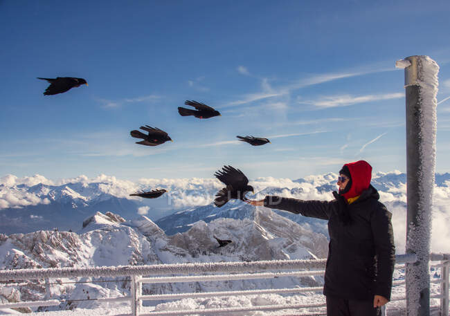 Woman in snowy mountains feeding birds from hand — Stock Photo