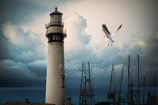 Möwe fliegt über Boote, die an einem alten Leuchtturm festgemacht haben, USA — Stockfoto