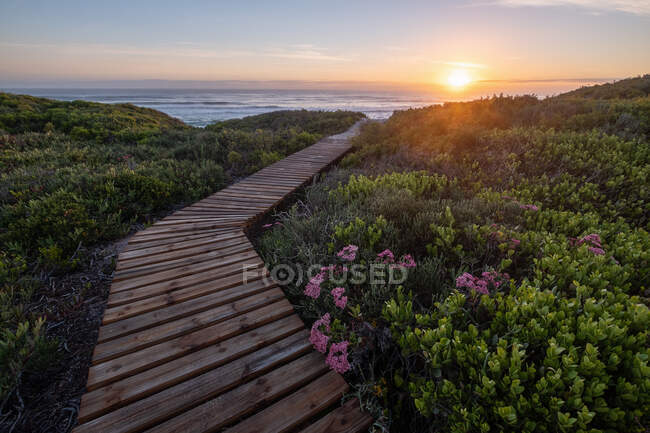 Paseo marítimo de madera a través de fynbos y dunas de arena que conducen al océano, Yzerfontein, Ciudad del Cabo, Cabo Occidental, Sudáfrica - foto de stock