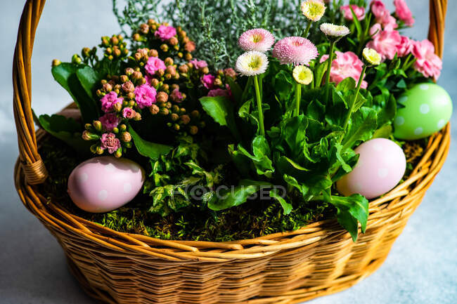 Springtime Easter flower display in a basket with Easter eggs — Stock Photo