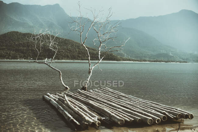 Деревянный плот, пришвартованный на краю озера, Вьетнам — стоковое фото