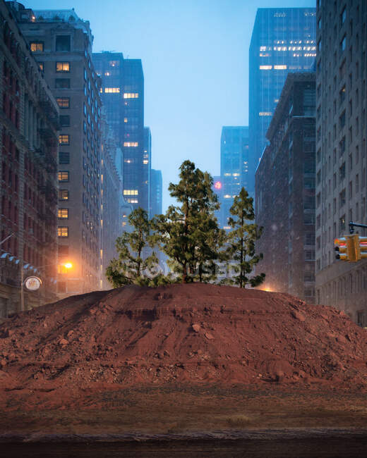 Convirtiendo Manhattan en una zona verde - foto de stock