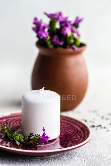 Interior summer card concept with pon full of lavender flowers on white concrete background — Stock Photo