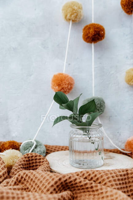 Cozy interior of home decor with plants and flowers, selective focus — Stock Photo