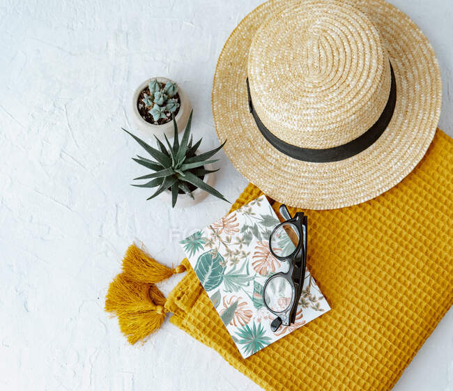 Concepto de verano con sombrero y cuadernos a cuadros, gafas y plantas suculentas - foto de stock