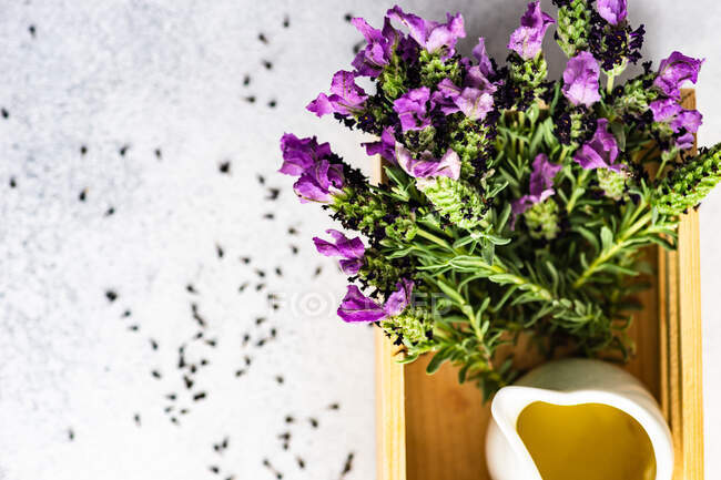 Spa y concepto de salud con flores frescas de lavanda sobre fondo de hormigón - foto de stock