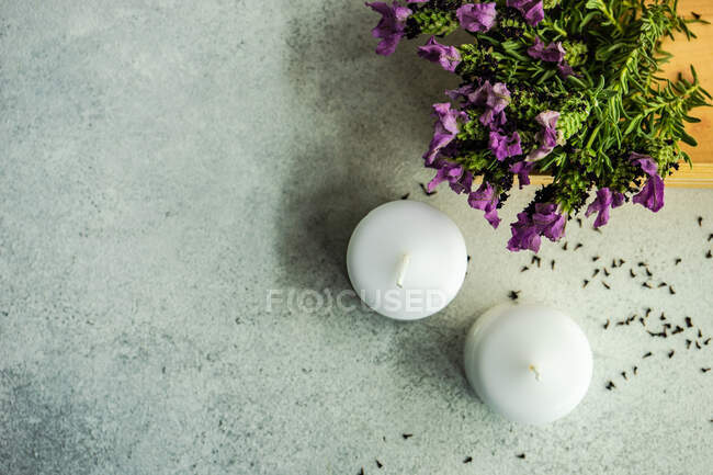 Spa et concept santé avec des fleurs de lavande fraîches sur fond de béton — Photo de stock