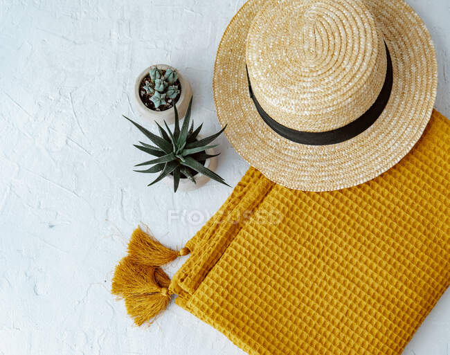 Straw hat with plants in pots and scarf, top view — Stock Photo