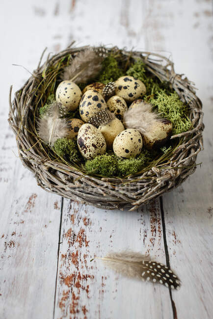 Quail eggs in a nest on a wooden background. — Stock Photo