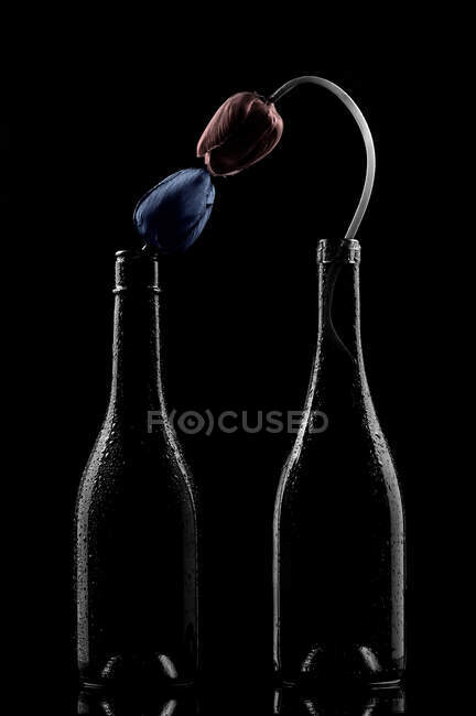 Два тюльпани в пляшках поруч один з одним з квітковими головами, які торкаються — стокове фото