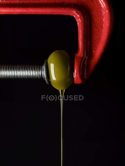 Olive being pressed in a  metal vice to produce olive oil — Stock Photo