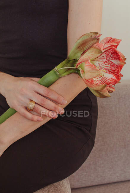Großaufnahme einer Frau im Abendkleid, die auf einem Sofa sitzt und eine Amaryllis-Blume in der Hand hält — Stockfoto