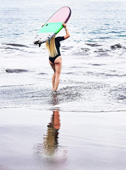 Задній вигляд серфінгу, який входить в океан, несучи серфінг над головою, Багами. — стокове фото