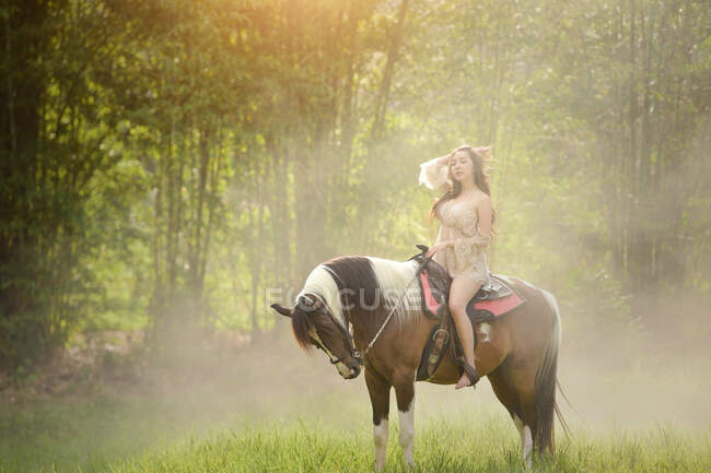Mulher sentada em um cavalo em um campo, Tailândia — Fotografia de Stock