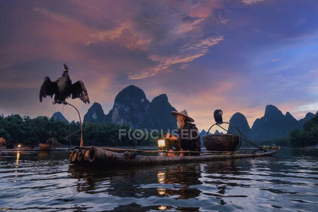 Pescador de corvos-marinhos no rio Li, Guilin, Yangshuo, China — Fotografia de Stock
