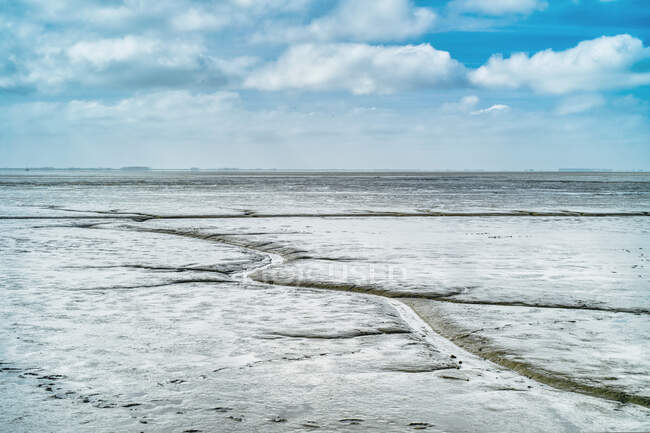 Dollart Bay na maré baixa, Mar de Wadden, Frísia Oriental, Baixa Saxônia, Alemanha — Fotografia de Stock