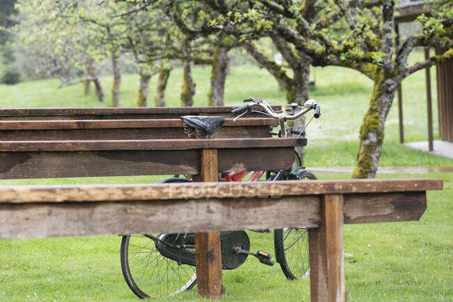 Vélo appuyé contre une structure en bois dans un verger de pommiers, Canada — Photo de stock