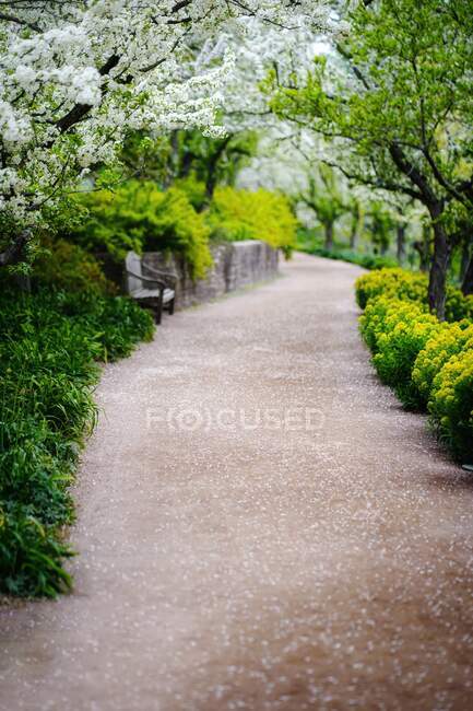 Пешеходная дорожка через парк летом, ботанический сад Чикаго, Чикаго, Иллинойс, США — стоковое фото