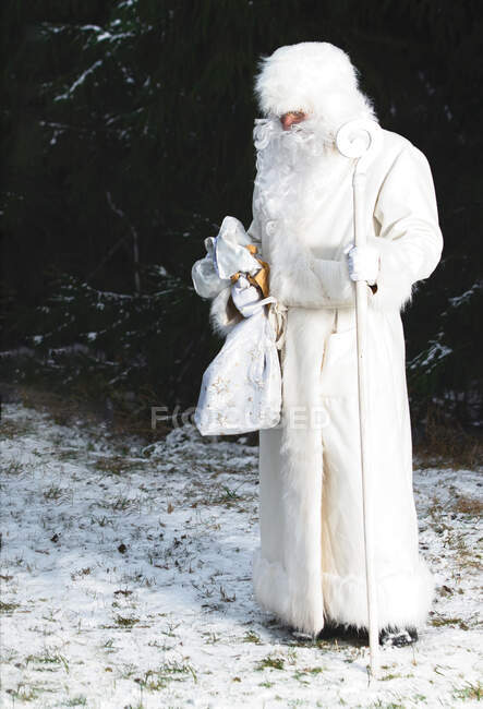 Hombre vestido de Santa Claus de pie en un bosque de invierno, Lituania - foto de stock