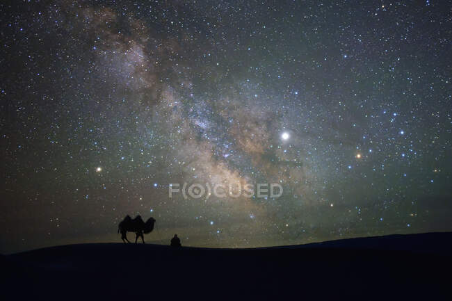 Silhouette eines Mannes und seines Kamels in der Wüste unter Milchstraße, Mongolei — Stockfoto