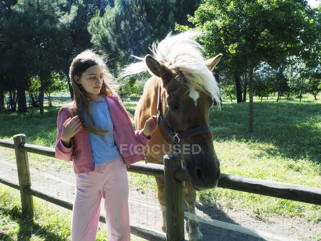 Chica acariciando un caballo en un campo, Italia - foto de stock