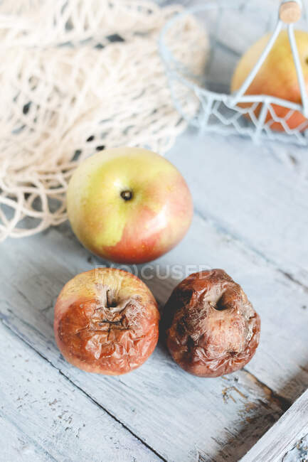 Два гнилых яблока на столе рядом со свежими зрелыми яблоками — стоковое фото