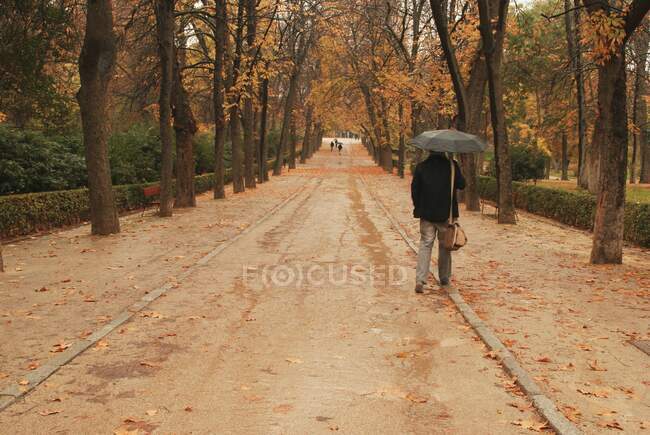 Rückansicht eines Mannes, der auf einer bewaldeten Straße durch den Park geht, Madrid, Spanien — Stockfoto