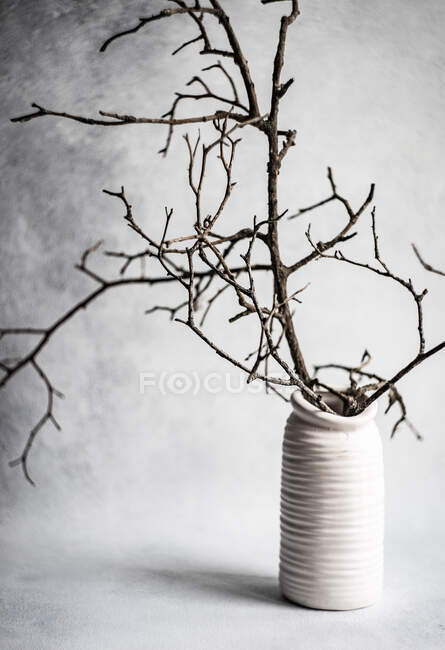 Décoration intérieure minimaliste avec vase blanc aux branches d'arbre sèches — Photo de stock