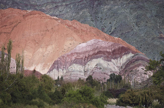 Cerro de los Fette colores, quebrada de purmamarca, jujuy, argentina — стоковое фото