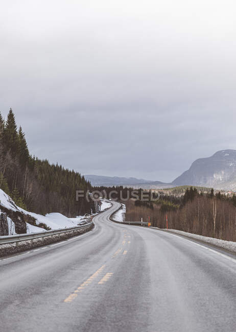 Empty treelined road through rural landscape in winter, Norway — Stock Photo
