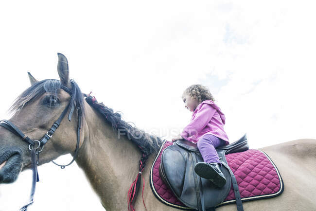 Low angle view of a girl riding a horse, Poland — Stock Photo