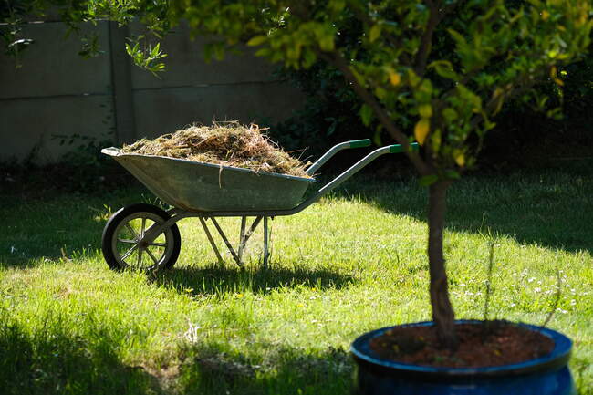 Wheelbarrow with hay in green garden scene — Stock Photo