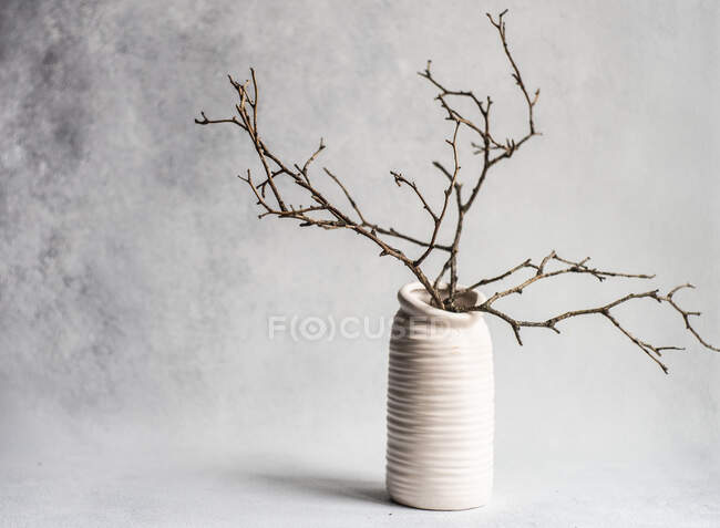 Decoración interior minimalista con jarrón blanco con ramas de árbol secas - foto de stock
