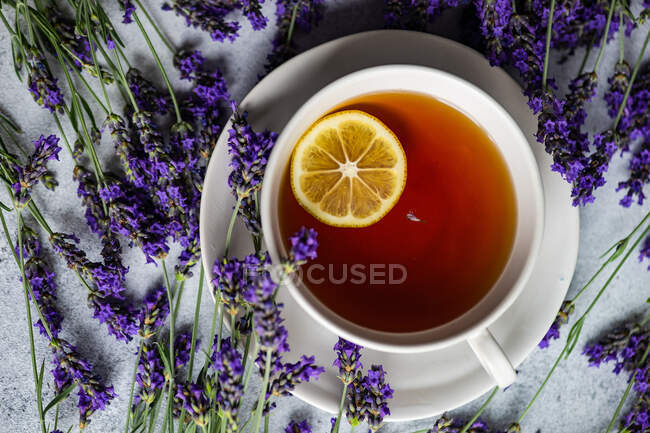 Чашка чаю з лимоном і свіжими квітами лаванди на бетонному фоні — стокове фото