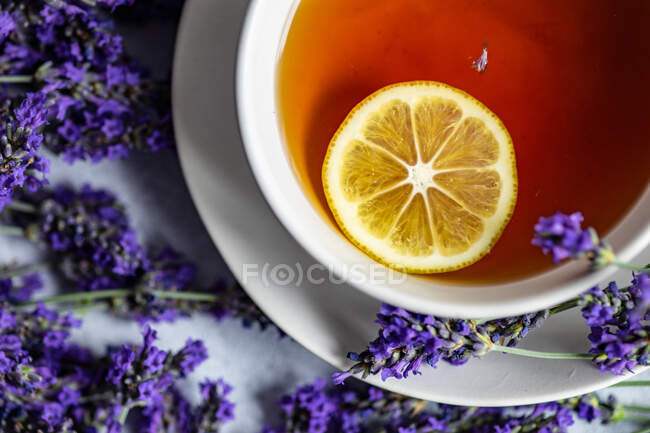 Cup of tea with lemon and fresh lavender flowers on concrete background — Stock Photo