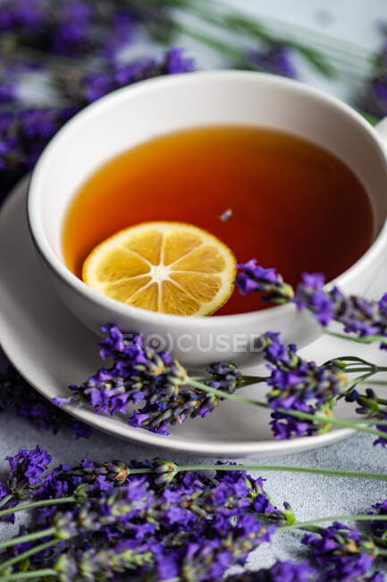 Cup of tea with lemon and fresh lavender flowers on concrete background — Stock Photo