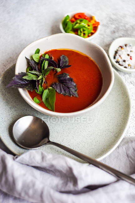 Sopa de tomate de verano servida en un tazón con especias y hierbas sobre fondo de hormigón - foto de stock