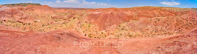 Vue du paysage depuis la pointe Tiponi, parc national de la forêt pétrifiée, Arizona, États-Unis — Photo de stock