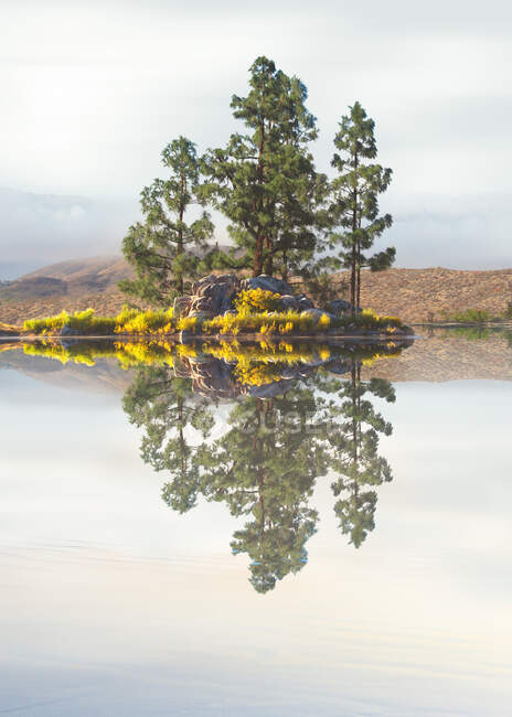 Сосны на скалистом обнажении в озере, Калифорния, США — стоковое фото
