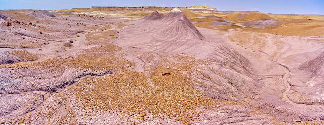 South Ridge of the Purple Peninsula, Petrified Forest National Park, Arizona, EE.UU. - foto de stock
