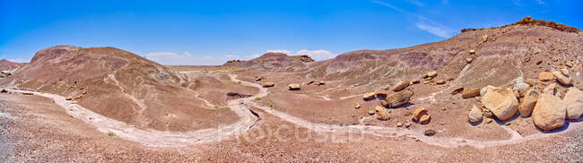 Purple Valley in the Flat Tops, Petrified Forest National Park, Arizona, USA — Stock Photo