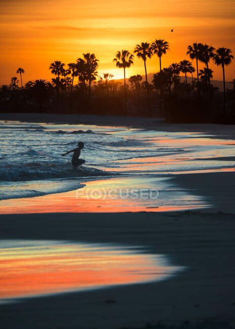 Силует хлопчика, що біжить з океану на пляж на заході сонця в окрузі Орандж (штат Каліфорнія, США). — стокове фото