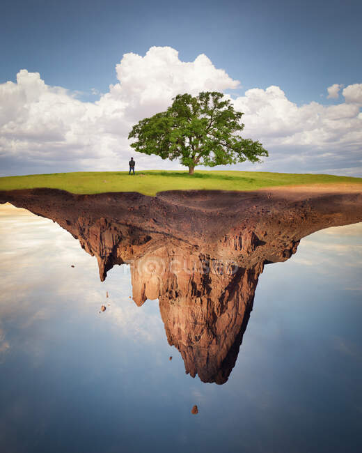 Mann steht unter einem Baum auf einem schwimmenden Grundstück, USA — Stockfoto
