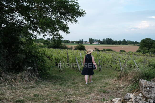 Передній вигляд жінки, яка ходить у поле з лози (Франція). — стокове фото