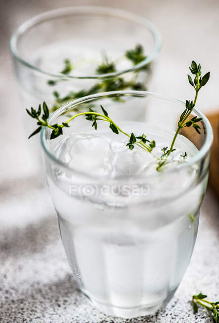Two martini cocktails with ice cubes and oregano garnish — Stock Photo