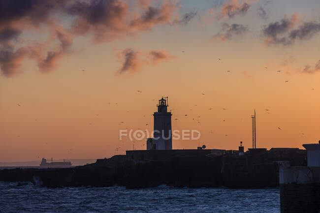 Troupeau d'oiseaux volant autour d'un phare au coucher du soleil, Tarifa, Province de Cadix, Andalousie, Espagne — Photo de stock