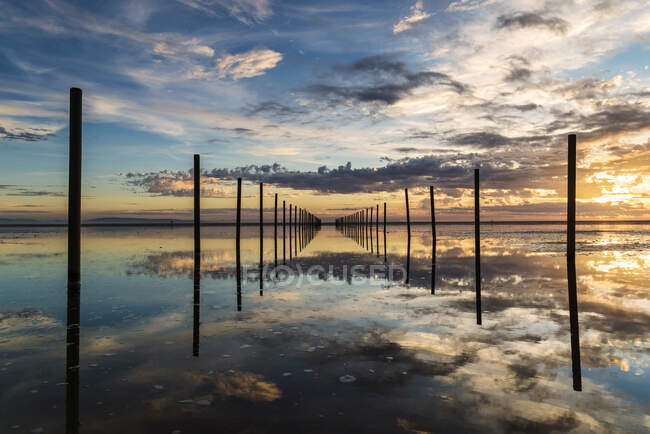 Poteaux en bois sur la plage au coucher du soleil, Los Lances plage, Tarifa, Cadix, Andalousie, Espagne — Photo de stock