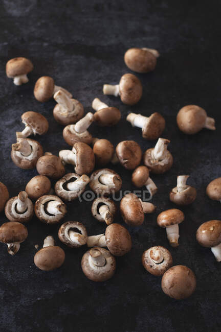 Mushrooms on a black tablecloth — Stock Photo