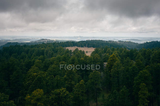 Бурхливе небо над лісовим ландшафтом (штат Вайомінг, США). — стокове фото