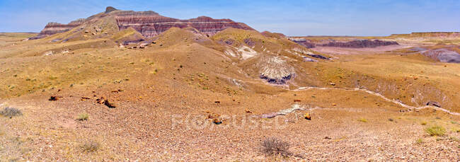 Lato ovest della penisola viola nel Parco nazionale della foresta pietrificata Arizona. — Foto stock